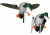 Mojo Super Mallard 80404