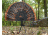 Mojo Tail Chaser Erect Fan HW2442