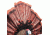 Mojo Tail Jerker Pull-String Turkey Decoy 192119