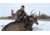 Montana Decoy Co. Trixie Whitetail Doe Decoy