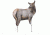 rmef cow elk decoy, brown