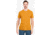 Montane Plus BMC T-Shirt - Mens, Inca Gold, Medium, MMBMTINCM13