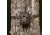 Moultrie A-900i Trail Camera Bundle, MCG-14002
