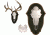 Mountain Mike's Black Forest Deer Plaque Kit