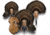 Mountain Mikes Ultimate Turkey Plaque