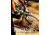 Mt Biking Ultimate Guide To, Bill Strickland, Publisher - Mcgraw Hill