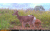 Muddy Matrix Cellular Hunting Trail Camera, 36MP, 1080P, Photo&amp;Video, Cracked Mud Camo, Cracked Mud Camo, MUD-MTRX