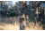 Muddy Matrix Cellular Trail Camera