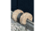 Muddy Shooting Rail Rest, 1408823