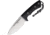 Muela Gavilan Fixed Blade, MUE98321