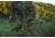 Mueller Optics 8-32x44 Side Focus Target Rifle Scope, Target Dot Reticle, Black, MU83244TD