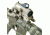 NCStar VECO434QRT Eco 4x34mm 29.2ft@100yds Tan Illuminated Urban Tactical