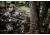 NightForce ATACR 5-25x56mm F1 ZeroStop .250 MOA DigIllum PTL MOAR, Black, 34mm C545