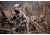 Open Box, Dealer Demo, NightForce SHV 3-10x42mm .250MOA IHR Non-Illuminated, Black, 30mm C562