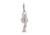 Nite Ize DoohicKey FishKey Key Tool, Stainless KMTFKS-11-R6