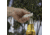Nite Ize DoohicKey FishKey Key Tool, Stainless KMTFKS-11-R6