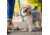 Nite Ize Wearabout Pet Clippable Tracker Holder, Blue, WATP-03T-R6