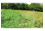 NTWS Hot Zone Deer Exclosure System