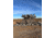 Nukem Double Up Panel, Habitat Camo, Extra Large, NH23055222-0