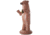 NXT Generation Gen 3-D Bear Target, Brown, NXT-BEAR