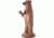 NXT Generation Gen 3-D Bear Target, Brown, NXT-BEAR