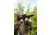 Osprey Global Compact 3-9x42 Illuminated Rifle Scope, 30mm Tube, MilDot Reticle, Black, CP3-9x42MDG
