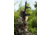 Osprey Global Compact 3-9x42 Illuminated Rifle Scope, 30mm Tube, MilDot Reticle, Black, CP3-9x42MDG