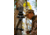 Painted Arrow Mag-Pro Tripod Head