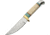 Pakistan Daylight Hunter