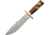 Pakistan Leaf Bowie