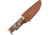 Pakistan Wind Painter Hunter