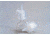 Pall AcroPak 200 Capsule Filters, Sterile, Pall Life Sciences 12069 0.2 µm Fluorodyne Ii Membrane