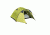 Peregrine Radama 6 Tent Combo - 6 Person, 4 Season, Yellow, 580449