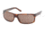 Polo PH4035 Bifocal Sunglasses - Tortoise Frame / 60 mm Prescription Lenses, 516773-6015