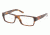 Polo PH2085 Bifocal Prescription Eyeglasses 5303-5216 - Tortoise Frame, Demo Lens Lenses