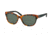 Polo PH4093 Bifocal Prescription Sunglasses PH4093-550171-56 - Lens Diameter 56 mm, Frame Color Tokio Havana