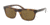 Polo PH4126 Bifocal Prescription Sunglasses PH4126-500373-54 - Lens Diameter 54 mm, Frame Color Shiny Dark Havana
