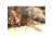 Prandi Yankee Style Hatchet Camo