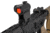 Primary Arms SLx Micro Red Dot Sight, Rotary Switch, Removeable Base, ACSS-5.56 Reticle, Black, 810009