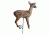Primos Hunting Frantic Fawn Predator Decoy 62703