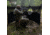 Primos Hunting Double Bull 3-Panel Stakeout with SurroundView Hunting Blind, Mossy Oak New Bottomland, 65165