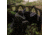Primos Hunting Double Bull 3-Panel Stakeout with SurroundView Hunting Blind, Mossy Oak New Bottomland, 65165
