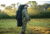 Primos Hunting Double Bull Blind Carry Bag, Medium, 65161