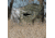 Primos Hunting Double Bull SurroundView Max Ground Blind, Camo, 65163