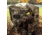 Primos Hunting Double Bull SurroundView Max Ground Blind, Camo, 65163