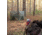 Primos Hunting Double Bull SurroundView Stakeout Hunting Blind, Mossy Oak Greenleaf, 65164