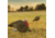 Primos Hunting Gobbstopper Jake Turkey Decoy, Box, 69066