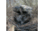 Primos Hunting Hide-N-Sneak Ground Blind, Veil Camo, 65113