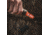 Primos Hunting Imaka Da Bull Crazy Close Range Elk Call, Trap, PS935