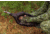 Primos Hunting Photoform Hen Decoy, Box, 69068